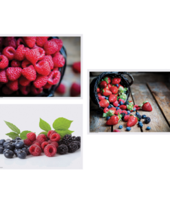 10 in x 14 in Berry Delight Multipack Paper Placemats 1000 ct.